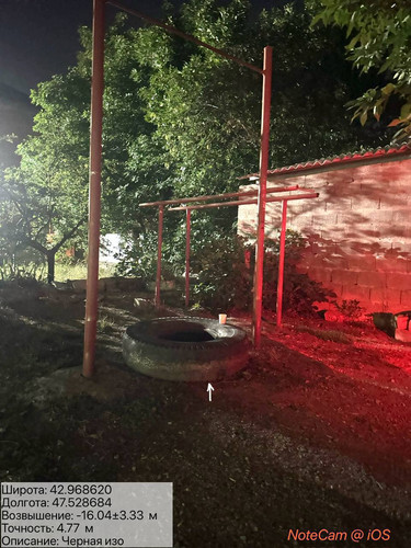 photo 1 2025 08 17 04 01 53.jpg