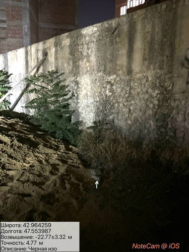 photo 12 2025 08 17 04 01 53.jpg