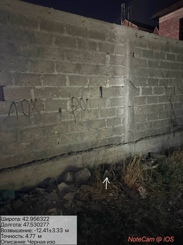 photo 4 2025 08 17 04 01 53.jpg