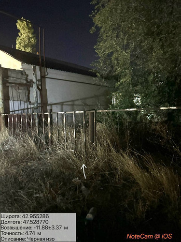 photo 2 2025 08 17 04 01 53.jpg