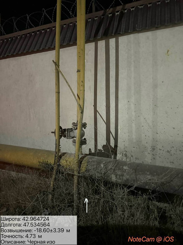 photo 6 2025 08 17 04 01 53.jpg