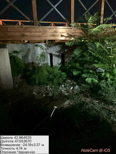 photo 11 2025 08 17 04 01 53.jpg