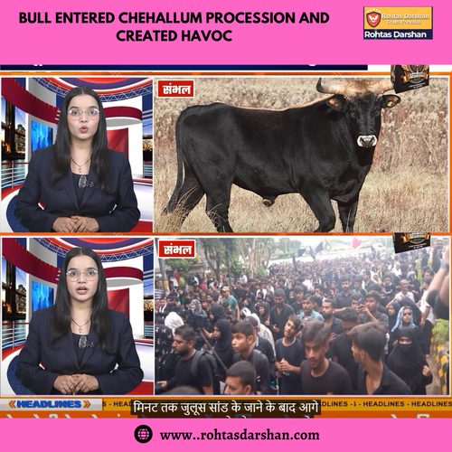 Bull entered Chehallum procession and created havoc.png