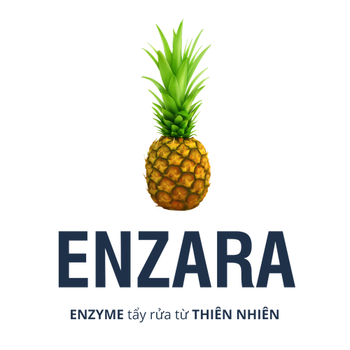 9fe42cb2 0cc7 40e9 9165 298cea07e6e5.png