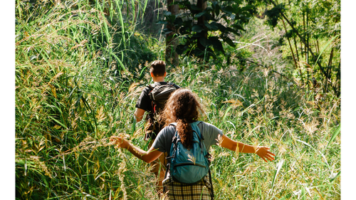 for my website (24).png