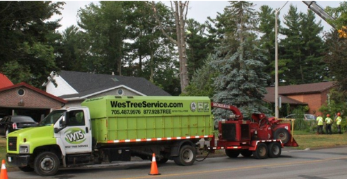 Tree Removal Ontario | Westreeservice.com.png
