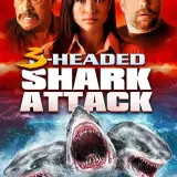 Ym0Nl465mOr8pN4hAiQLfiyeZI