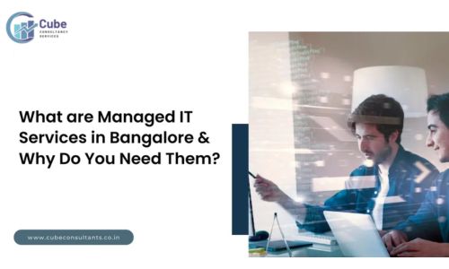 Bangalore Managed IT Services: What Are They? Benefits, Significance, and More!.jpg