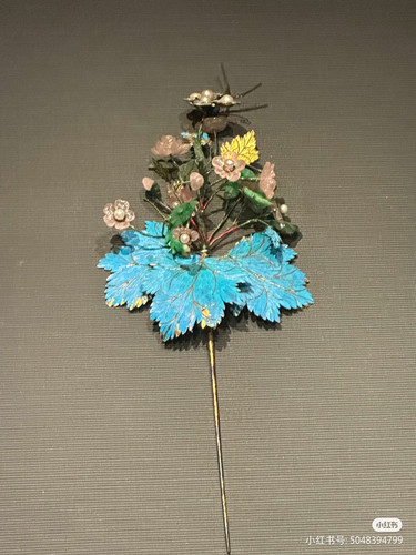 Camera XHS 17516123617711040g00831h5vpoiv3s205out5aq9gilig8jbua8.jpg