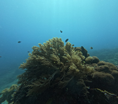GOPR1196.jpg