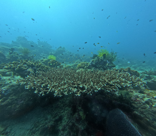 GOPR1192.jpg