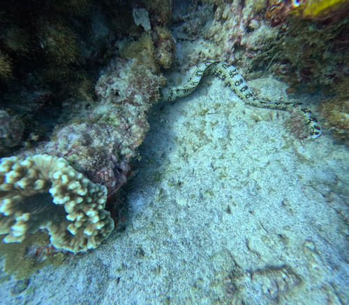 GOPR1174.jpg