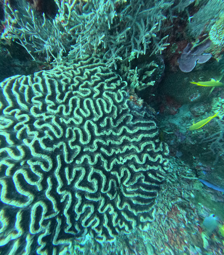 GOPR1185.jpg