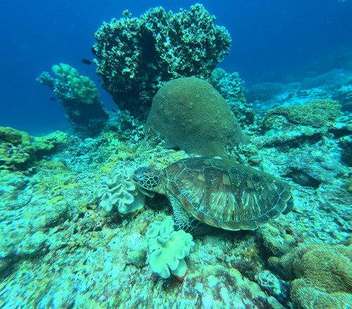 GOPR1202.jpg