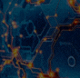 LAPAKCUAN Banner.gif