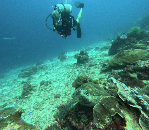 GOPR1210.jpg