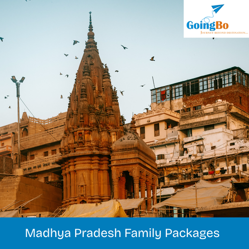 Madhya Pradesh Family Packages.png