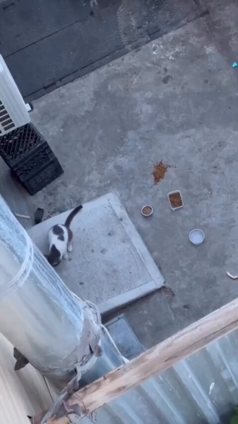 5S0I7KHYNuu1OasZ.jpg
