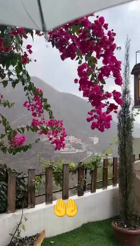 rn oNMX8ovA X2TY.jpg