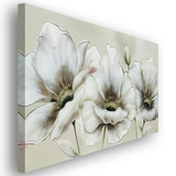 flores nv003