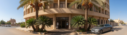 واجهة شركة ارض النخيل نهارا