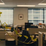 مكاتب شركة الحجي