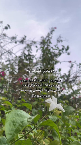 lDmBJJI 3lR5b7m5.jpg