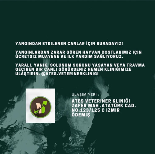 Gu KPYqXEAE68OQ.jpg