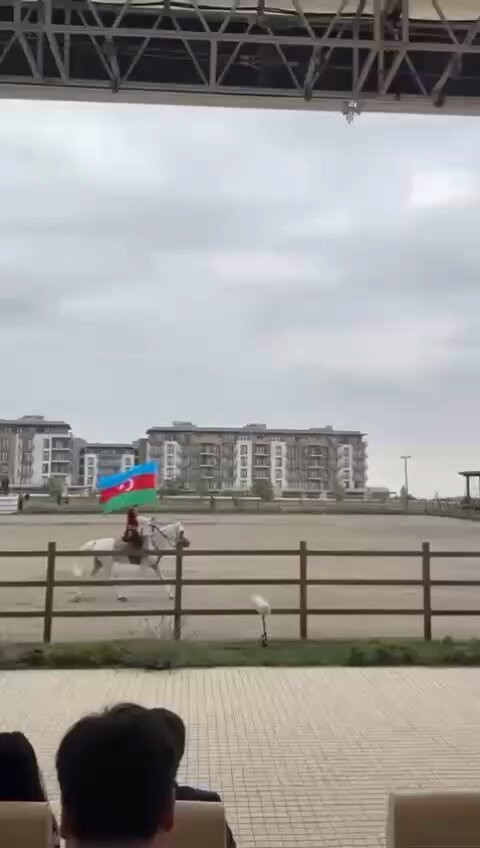 kP7ZYQ9AYDj S12h.jpg