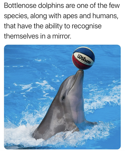 Screenshot 2025 07 04 at 6.56.07 PM.png