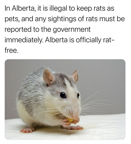 Screenshot 2025 07 04 at 6.54.18 PM.png