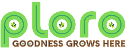 New Minimalist Logo for PLORO.png