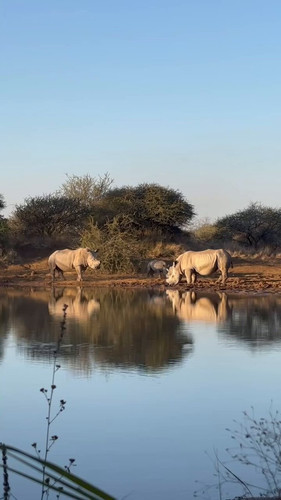 XHrBBPj 1HyuqdfV.jpg