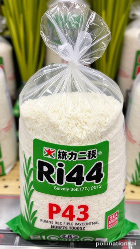 5caf86ac93ba.jpg