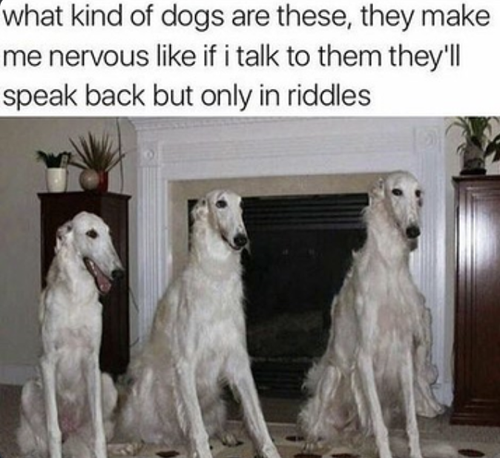 Screenshot 2025 07 04 at 1.14.26 PM.png