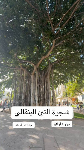 vKsdy8Sf49poa0lA.jpg