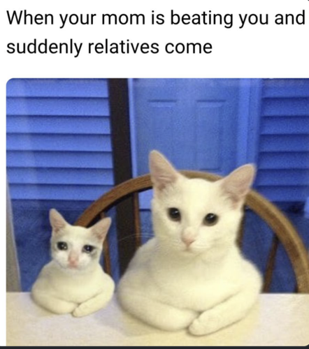 Screenshot 2025 07 04 at 1.13.36 PM.png