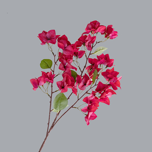 O1CN01iThqFb2Ke9li6OjGB !!1946529581 0 cib.jpg