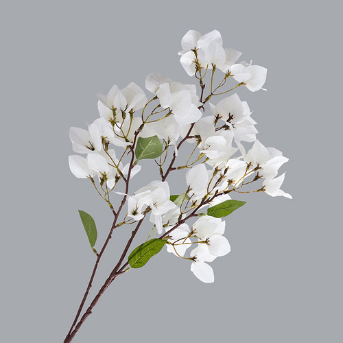 O1CN01jCouh02Ke9li6LEss !!1946529581 0 cib.jpg