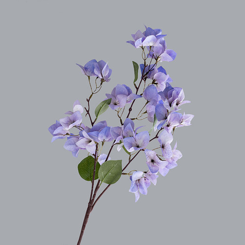 O1CN015ynF8d2Ke9lmTGSkE !!1946529581 0 cib.jpg