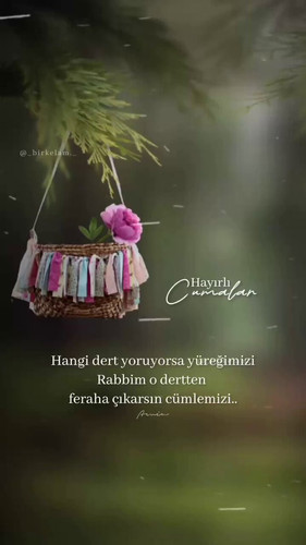 Y1CFDp 6zBV4JS5b.jpg