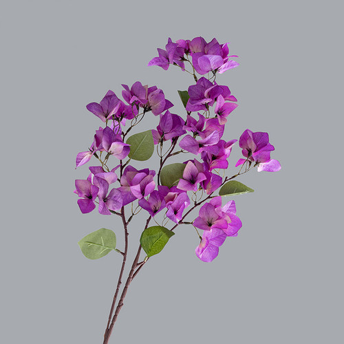 O1CN01KWyj9f2Ke9loaG5UE !!1946529581 0 cib.jpg