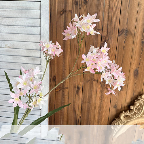 O1CN01Glm2sA2AS7CXGksUx !!2206572448201 0 cib.jpg