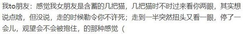 QQ截图20250704201726.jpg