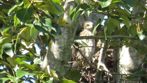 quPel8auEwSJHsJb.jpg