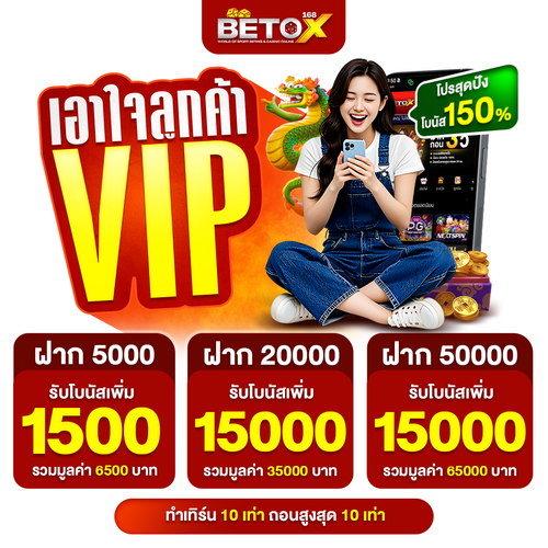 โปรVIP copy.png