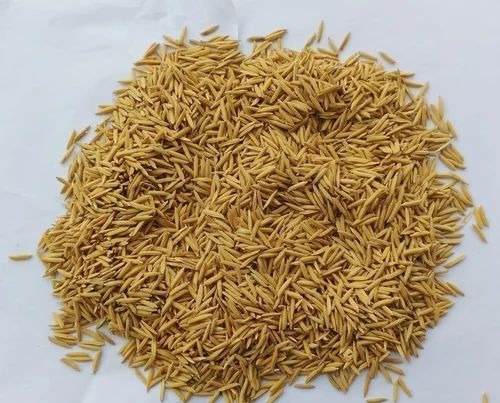 product jpeg 500x500.jpg