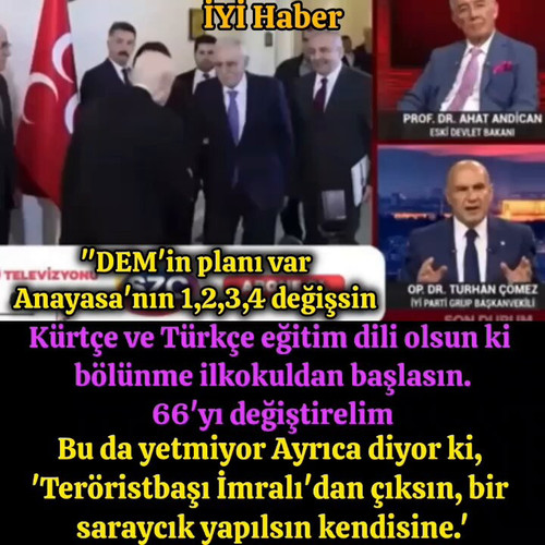 8d89BpnjufDYckip.jpg
