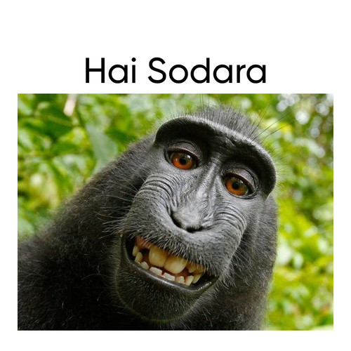 Untitled Project (79).jpg