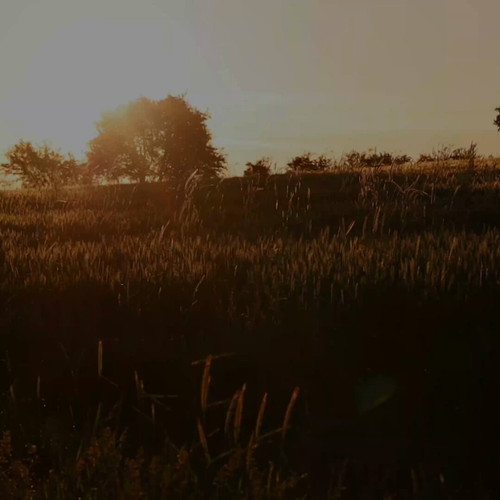 S8X aTn4U3 o9Lvh.jpg